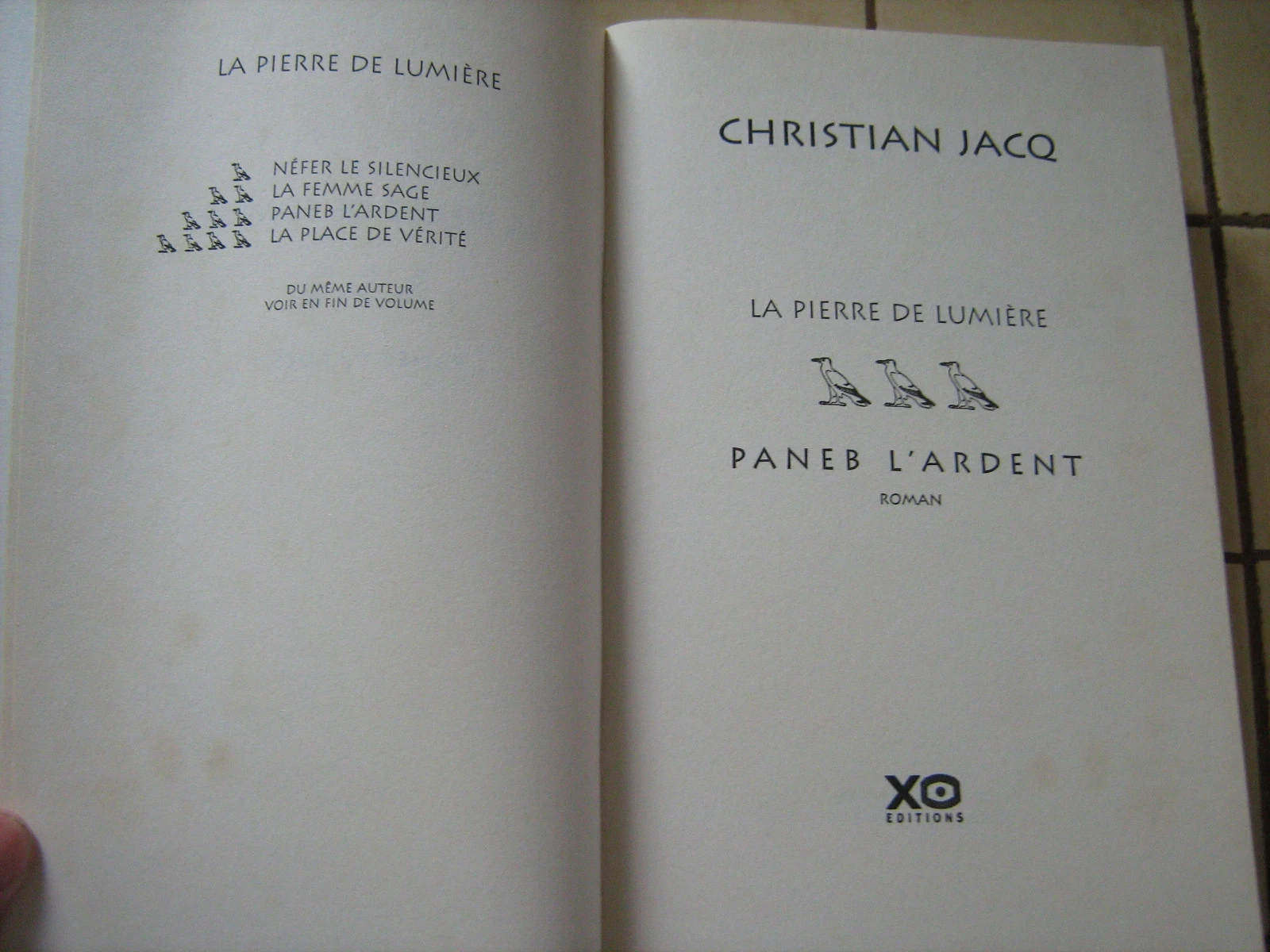 la pierre de lumieré 4 tomes – photo 8